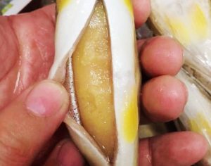 宜蘭山泉水-爆蛋母香魚